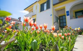 Apartment House Matosevic